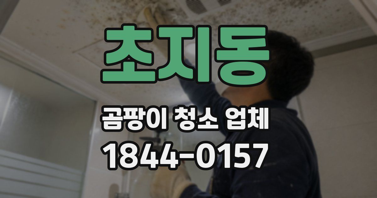초지동 곰팡이 청소 업체