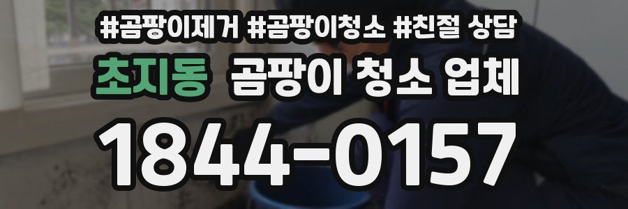 초지동 곰팡이 청소 업체