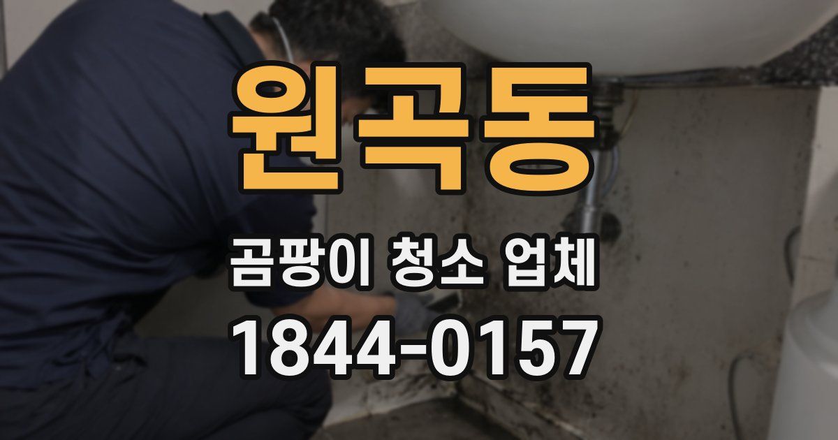 원곡동 곰팡이 청소 업체
