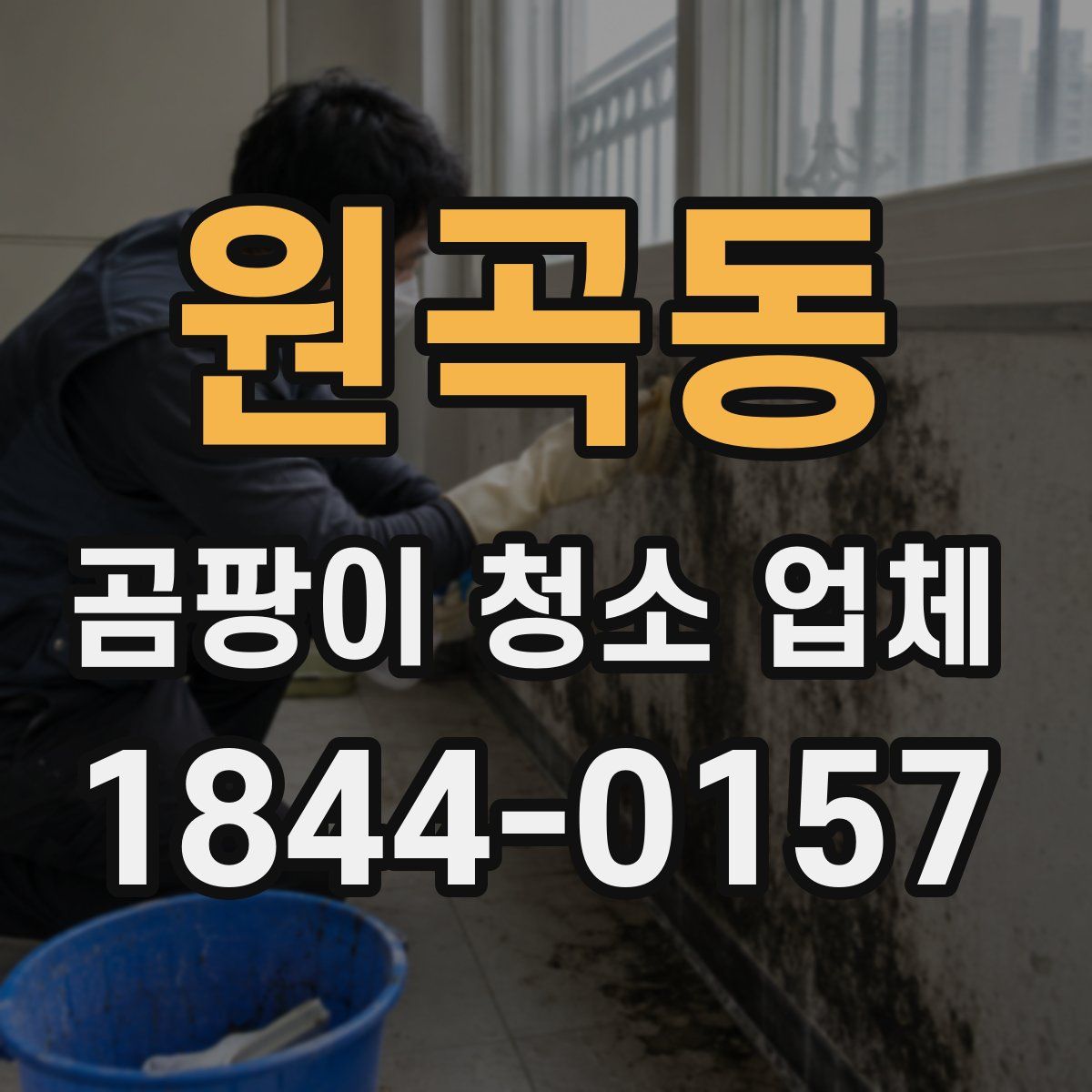 원곡동 곰팡이 청소 업체