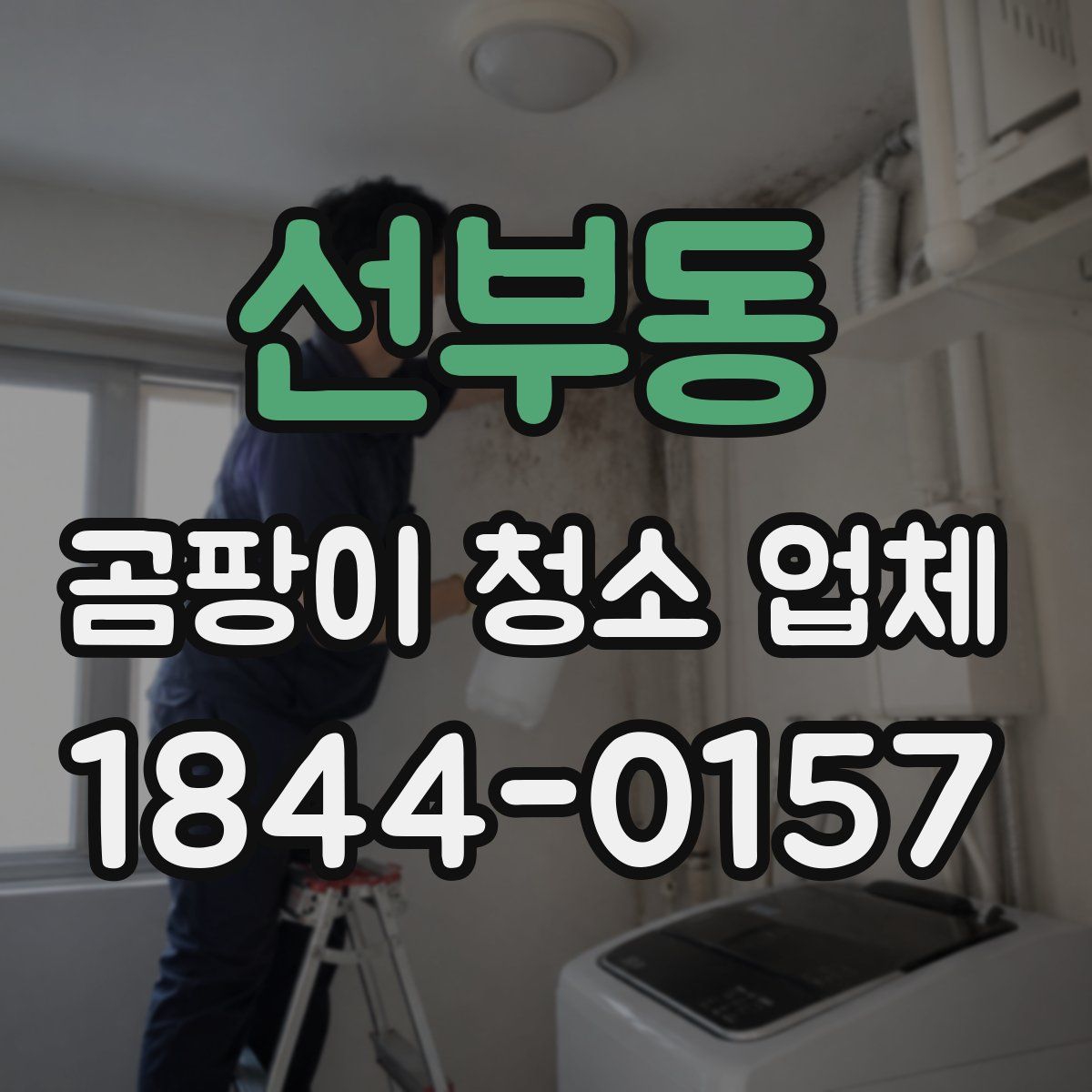선부동 곰팡이 청소 업체