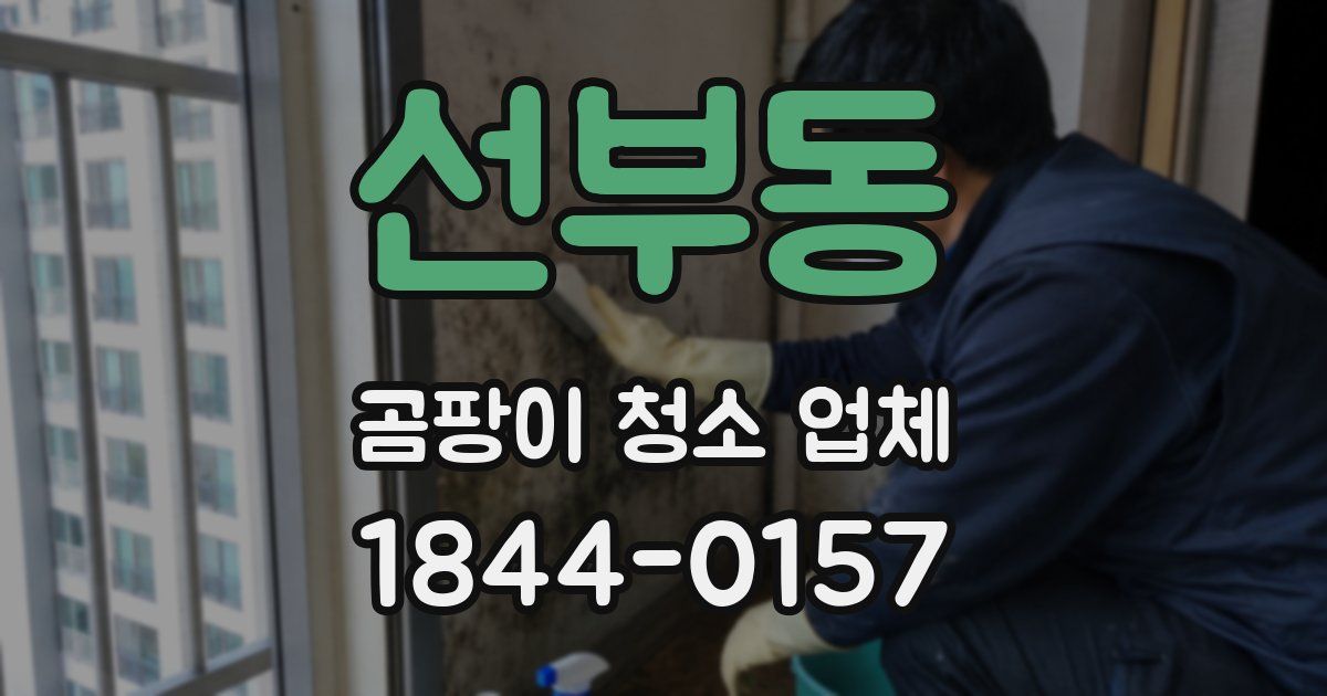 선부동 곰팡이 청소 업체