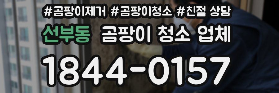 선부동 곰팡이 청소 업체