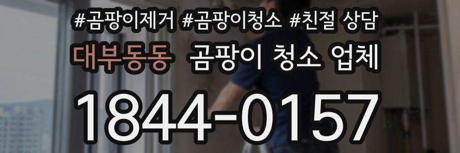 대부동동 곰팡이 청소 업체