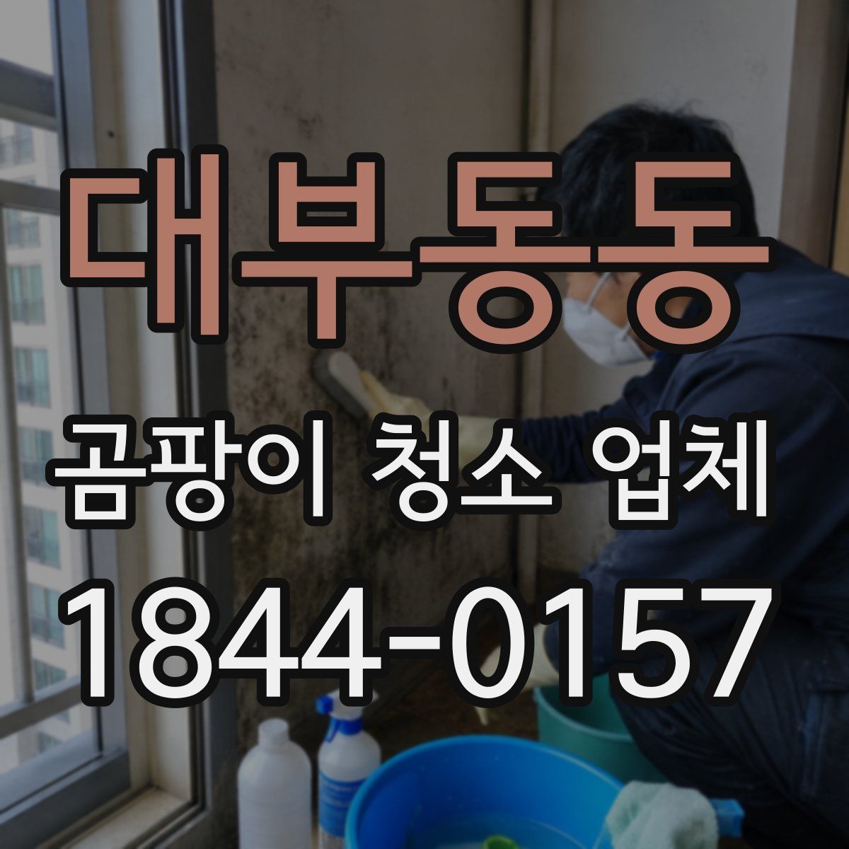 대부동동 곰팡이 청소 업체