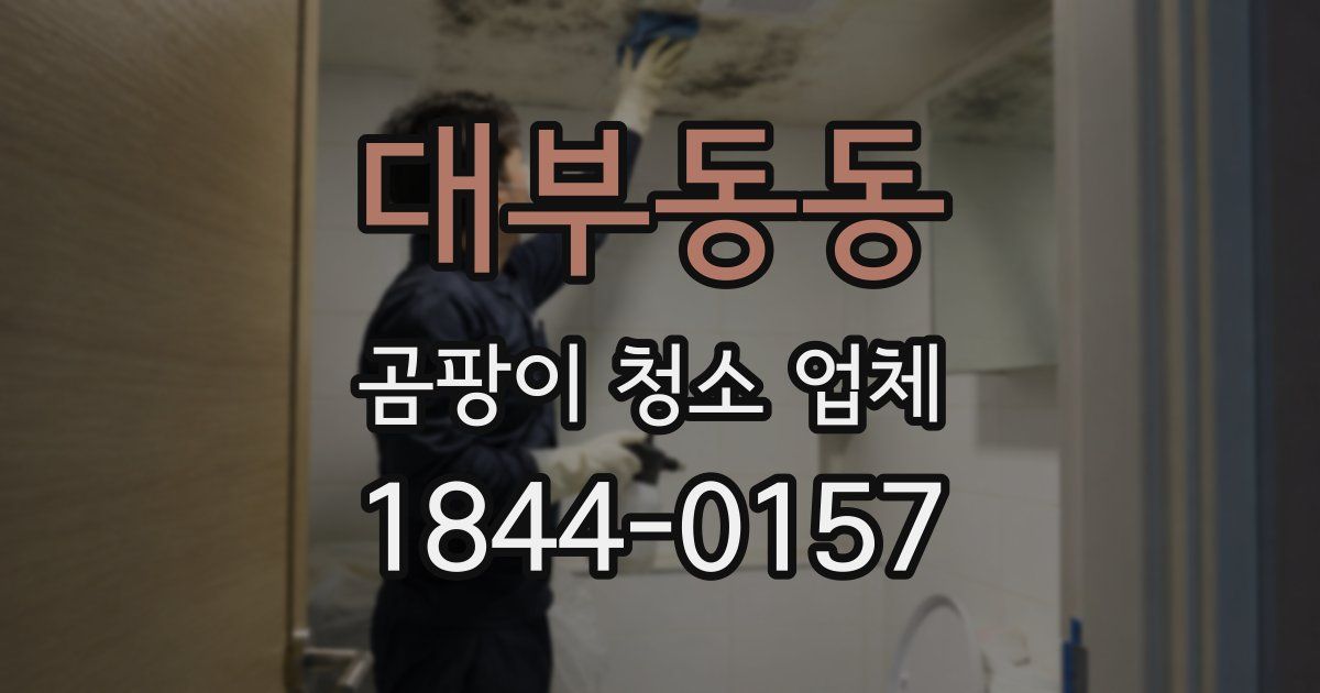 대부동동 곰팡이 청소 업체