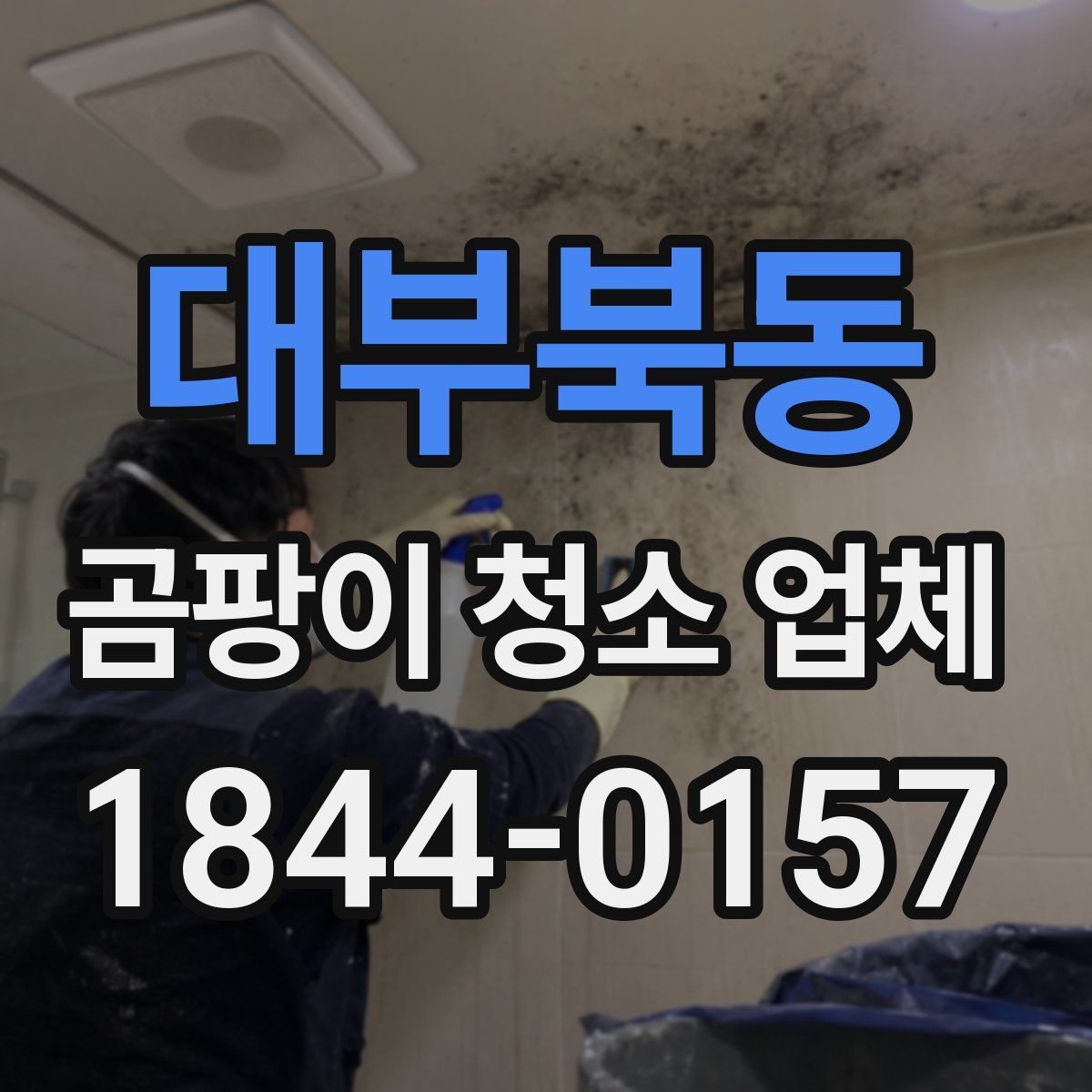 대부북동 곰팡이 청소 업체