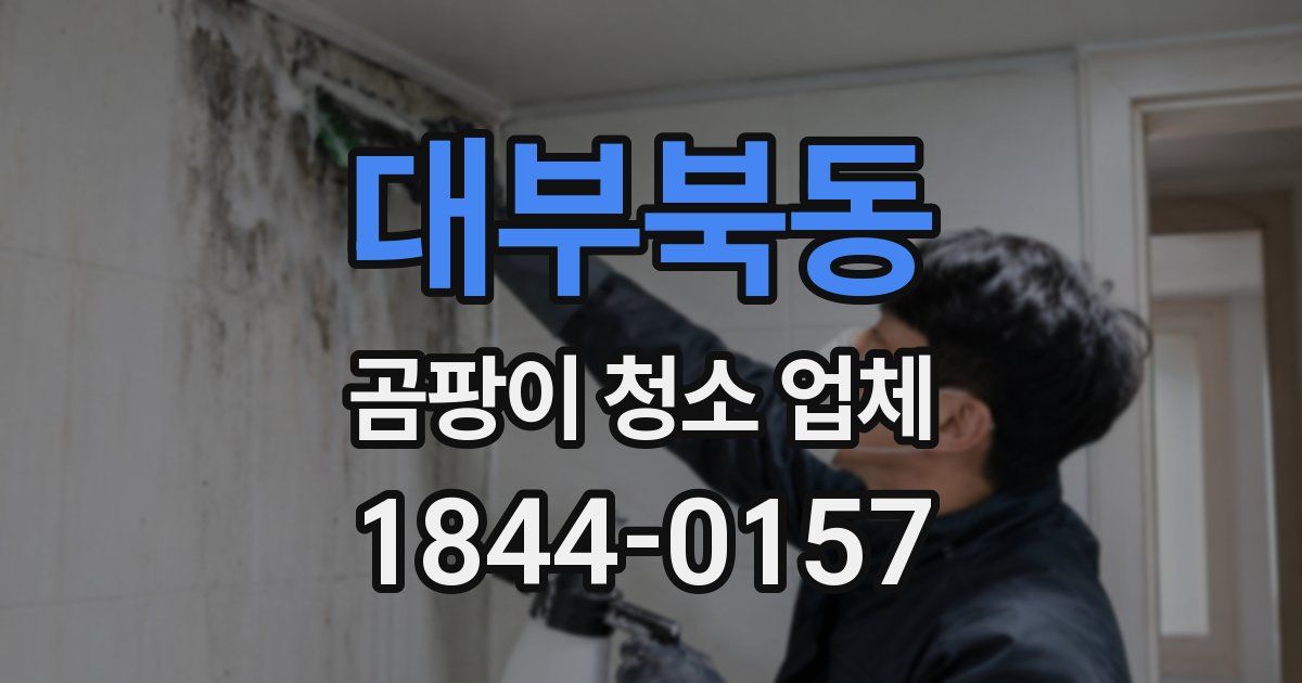 대부북동 곰팡이 청소 업체