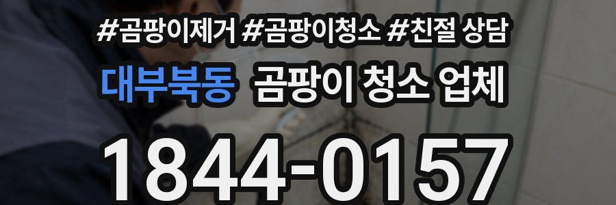 대부북동 곰팡이 청소 업체