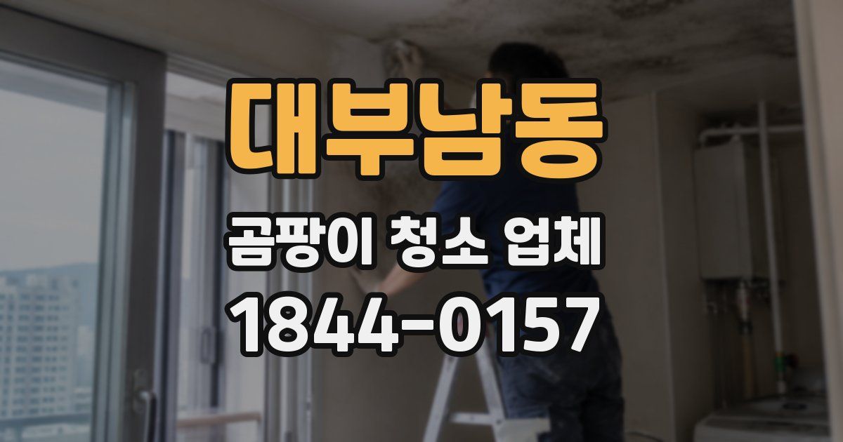 대부남동 곰팡이 청소 업체