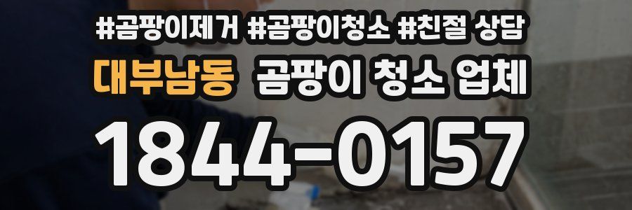 대부남동 곰팡이 청소 업체