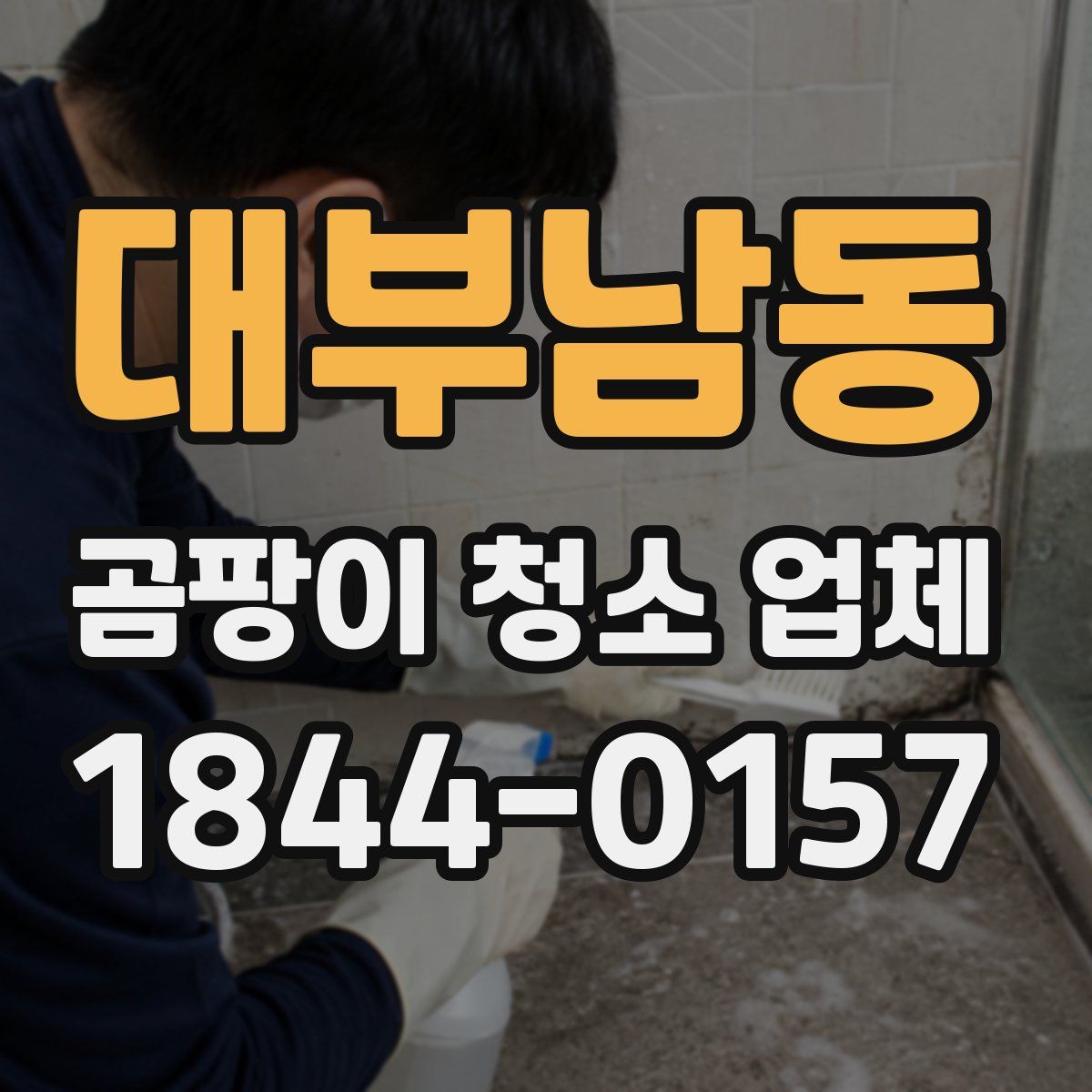대부남동 곰팡이 청소 업체