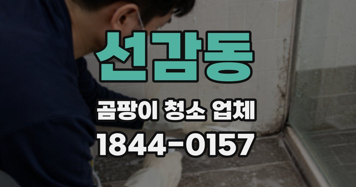 선감동 곰팡이 청소 업체