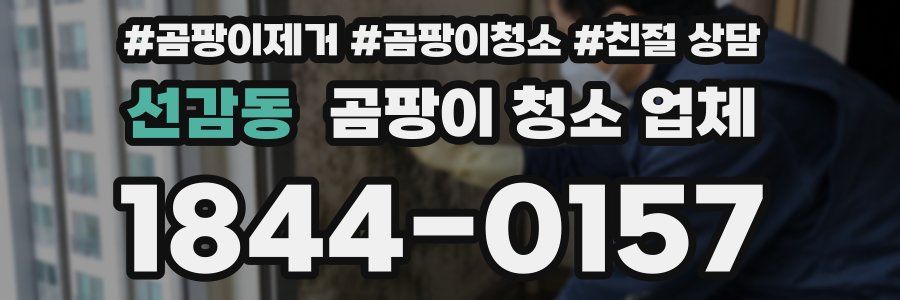 선감동 곰팡이 청소 업체