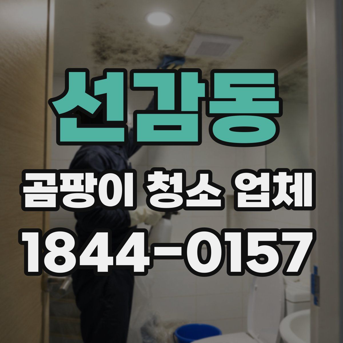 선감동 곰팡이 청소 업체
