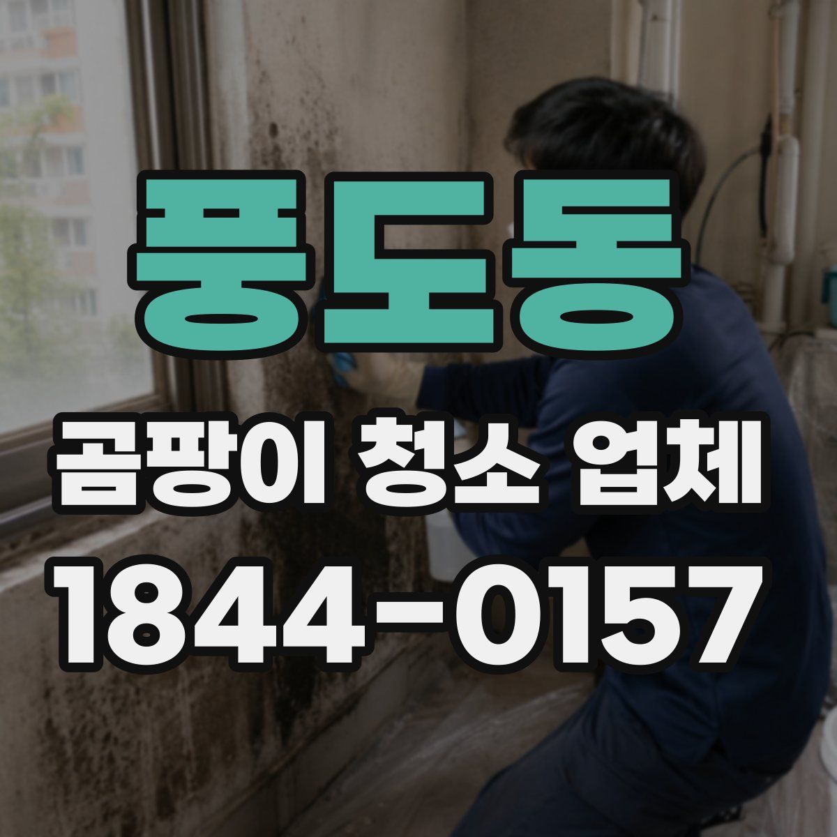 풍도동 곰팡이 청소 업체