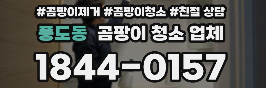 풍도동 곰팡이 청소 업체