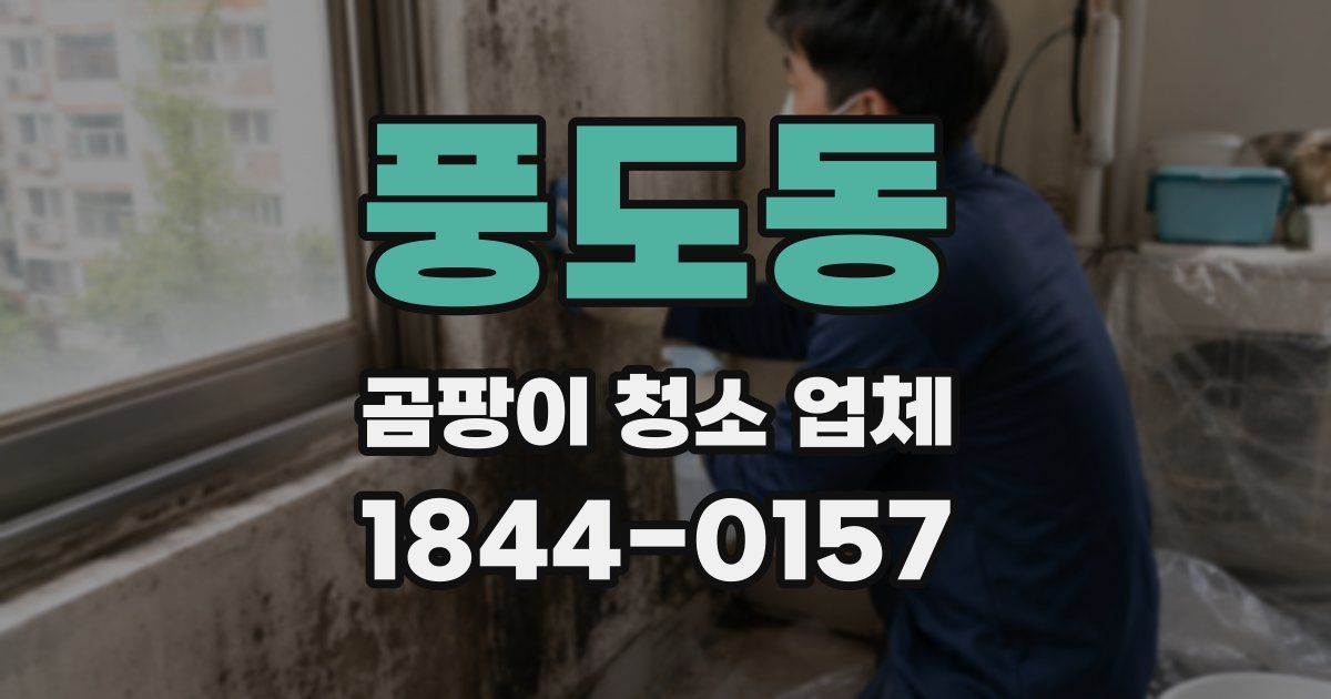 풍도동 곰팡이 청소 업체