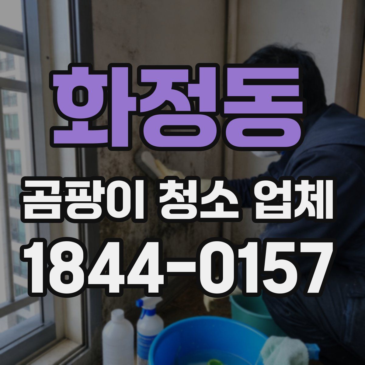 화정동 곰팡이 청소 업체