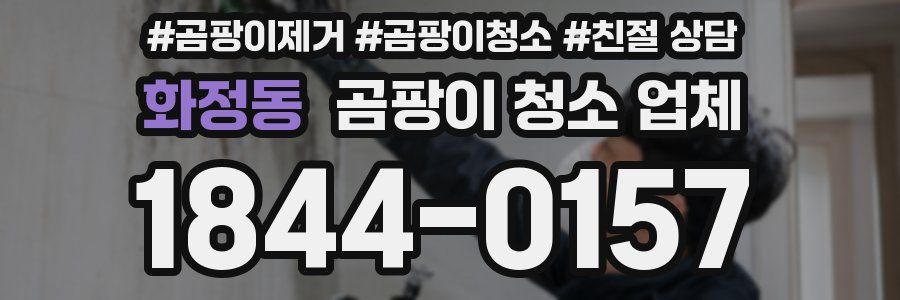화정동 곰팡이 청소 업체