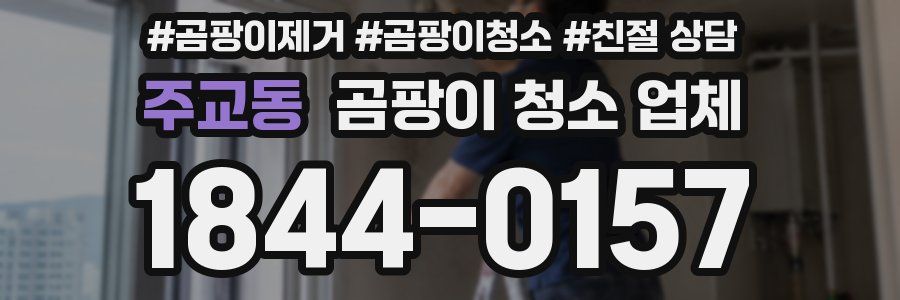 주교동 곰팡이 청소 업체