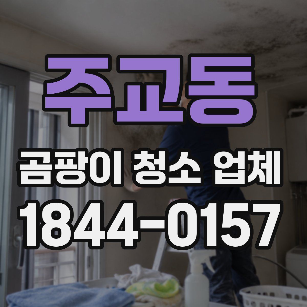 주교동 곰팡이 청소 업체