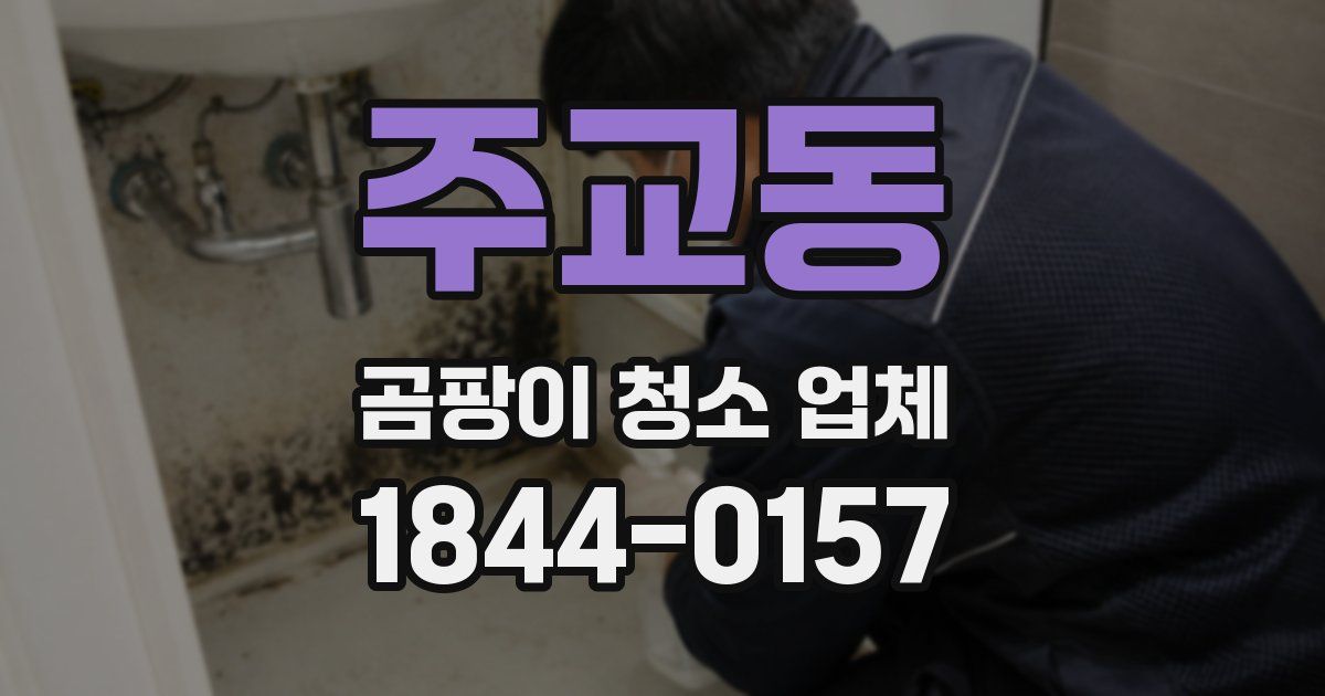 주교동 곰팡이 청소 업체