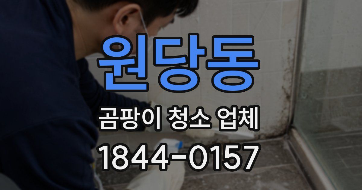 원당동 곰팡이 청소 업체