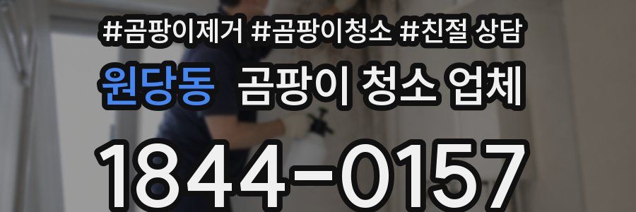 원당동 곰팡이 청소 업체