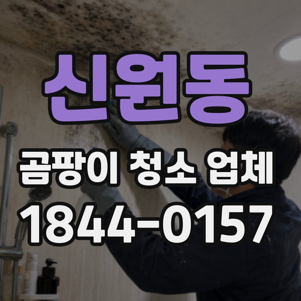 신원동 곰팡이 청소 업체