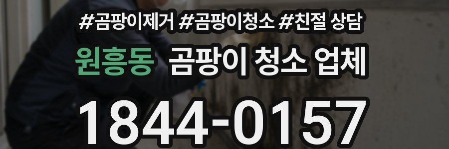 원흥동 곰팡이 청소 업체