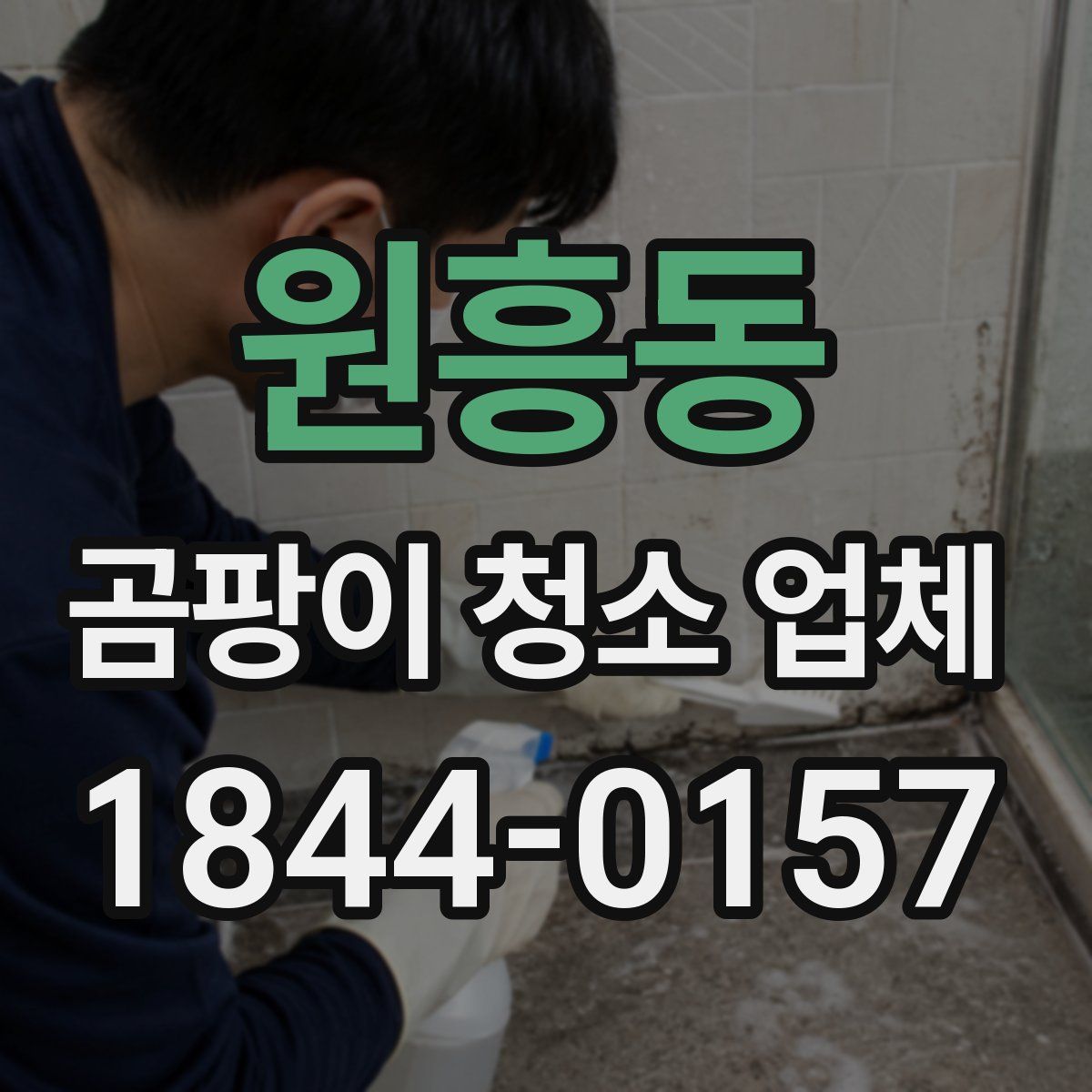 원흥동 곰팡이 청소 업체