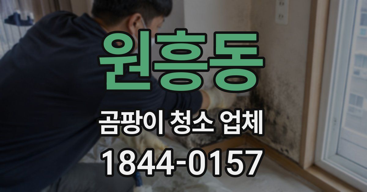 원흥동 곰팡이 청소 업체