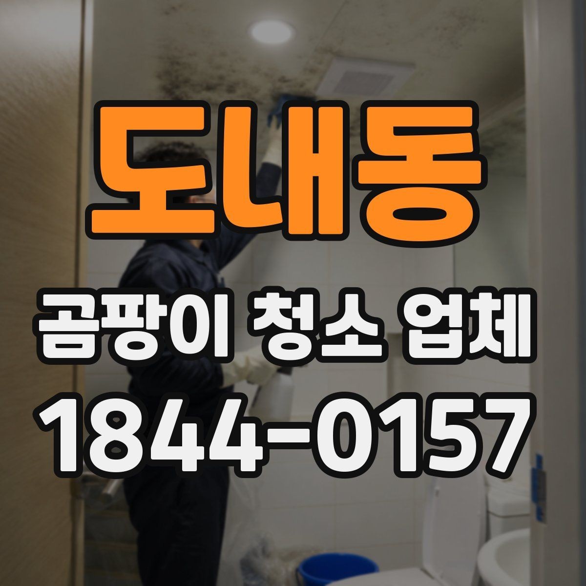 도내동 곰팡이 청소 업체 선정 시 계약서에서 볼 부분