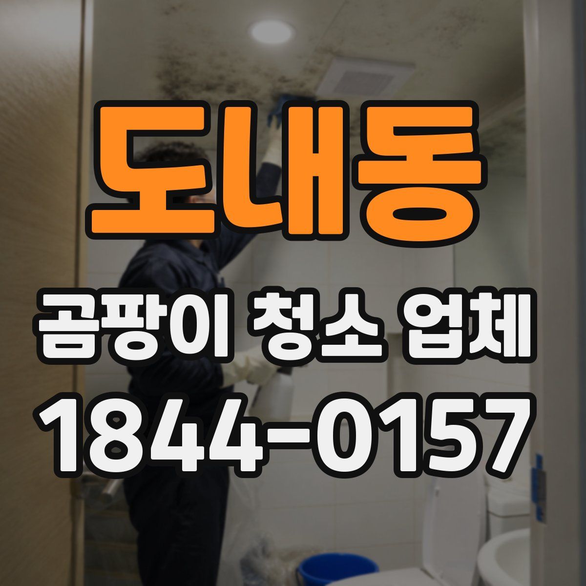 도내동 곰팡이 청소 업체