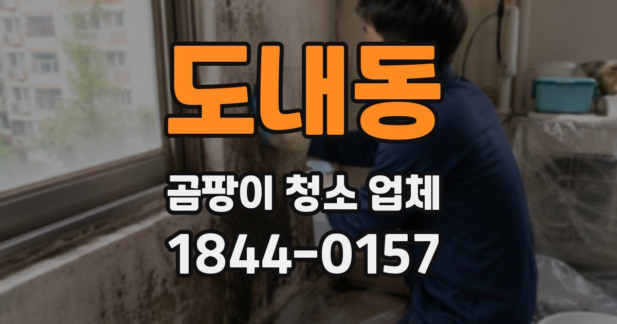도내동 곰팡이 청소 업체
