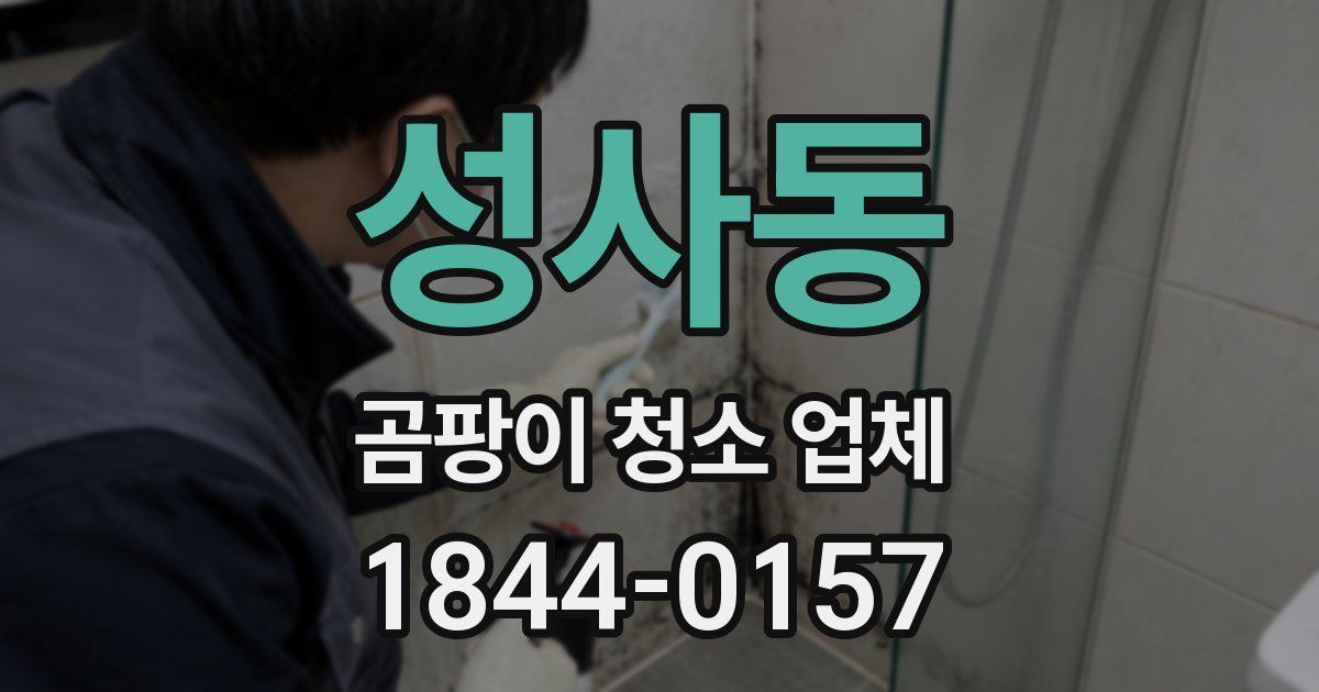 성사동 곰팡이 청소 업체