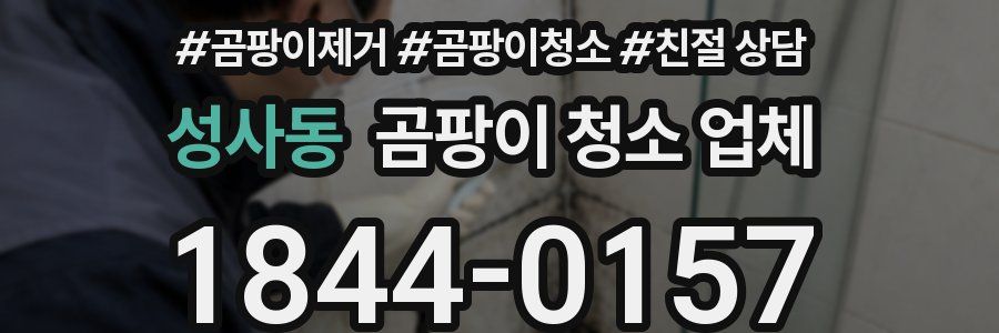 성사동 곰팡이 청소 업체