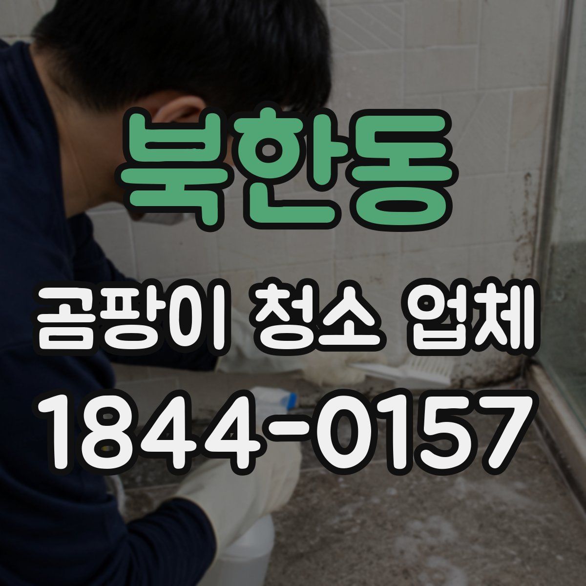 북한동 곰팡이 청소 업체
