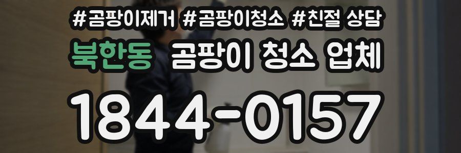 북한동 곰팡이 청소 업체
