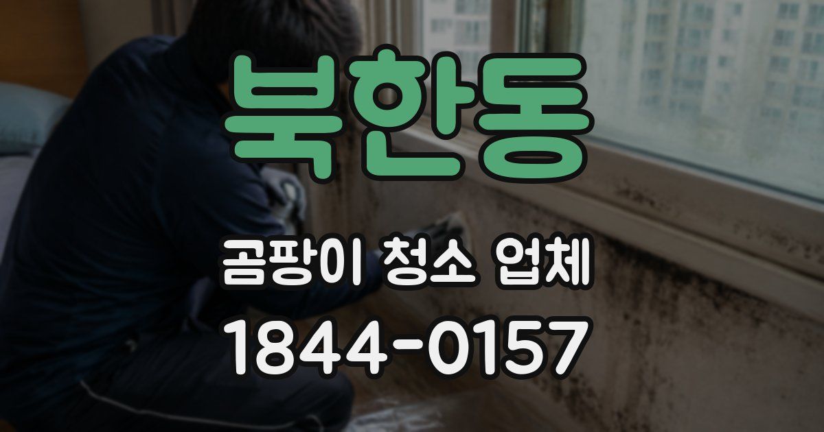 북한동 곰팡이 청소 업체