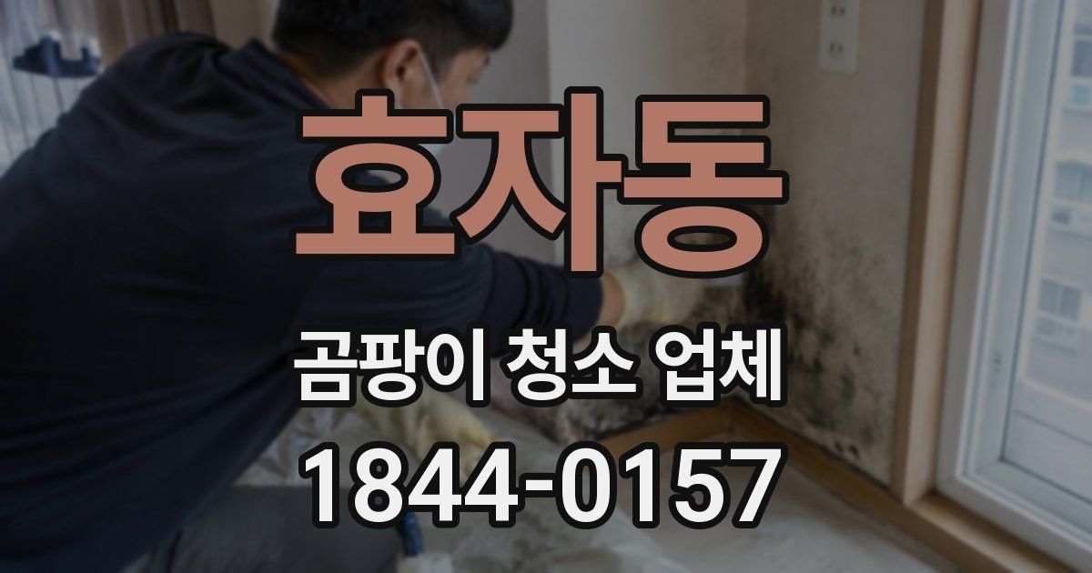 효자동 곰팡이 청소 업체