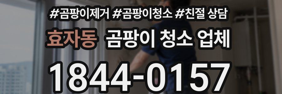 효자동 곰팡이 청소 업체