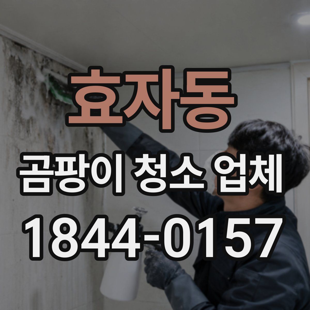 효자동 곰팡이 청소 업체