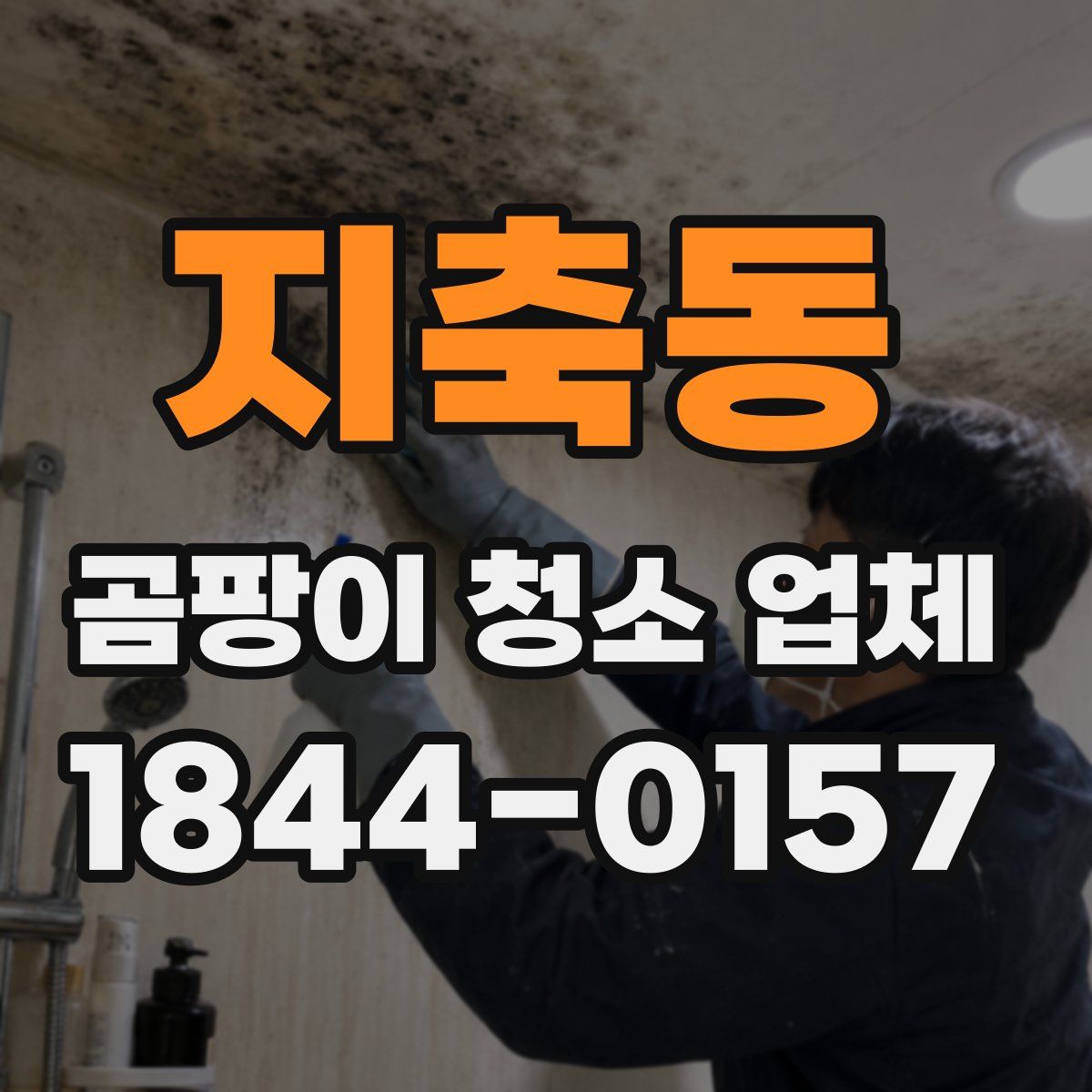 지축동 곰팡이 청소 업체