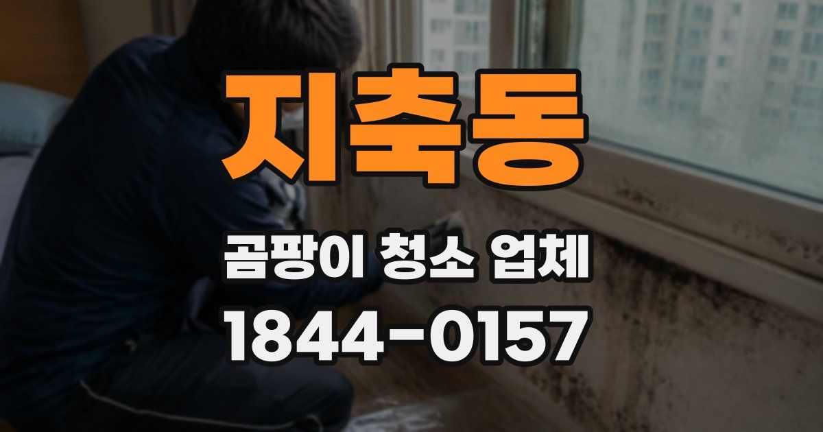 지축동 곰팡이 청소 업체