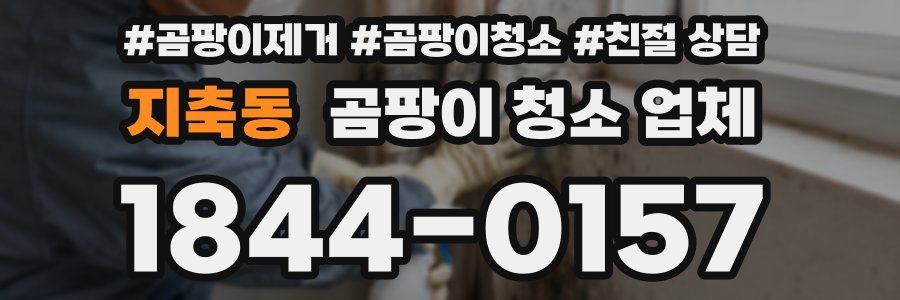지축동 곰팡이 청소 업체