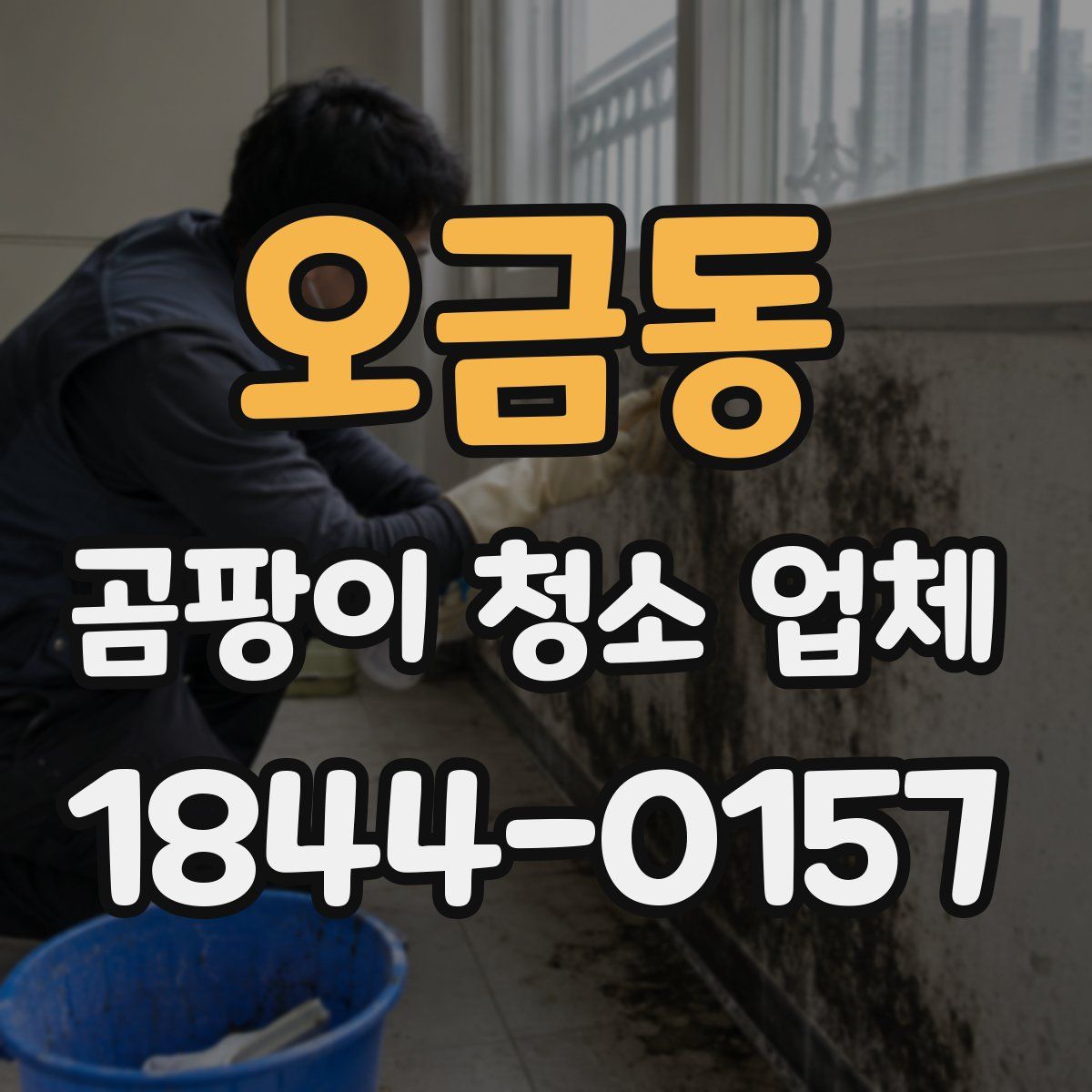 오금동 곰팡이 청소 업체