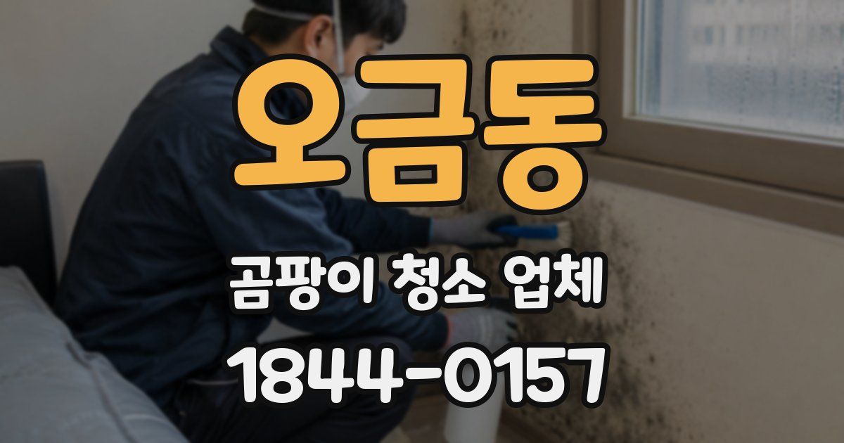 오금동 곰팡이 청소 업체