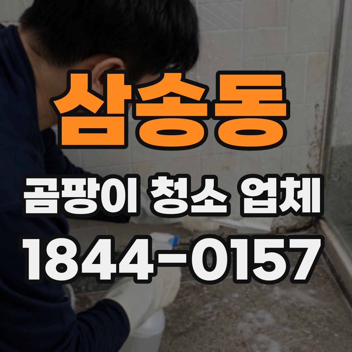 삼송동 곰팡이 청소 업체